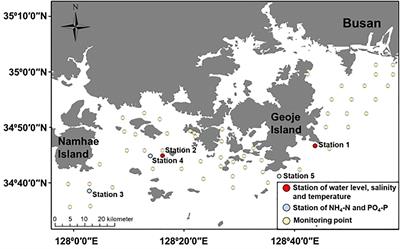 Deep Learning for Simulating Harmful Algal Blooms Using Ocean Numerical Model